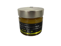 Dandelion Honey with Fruit Blossom organic