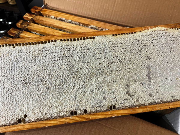 Nid d'abeille dans un cadre (prix unitaire)